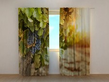 Tende Vitigno Autunnale
